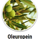 Oleuropein Olea Europaea
